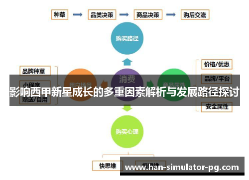 影响西甲新星成长的多重因素解析与发展路径探讨